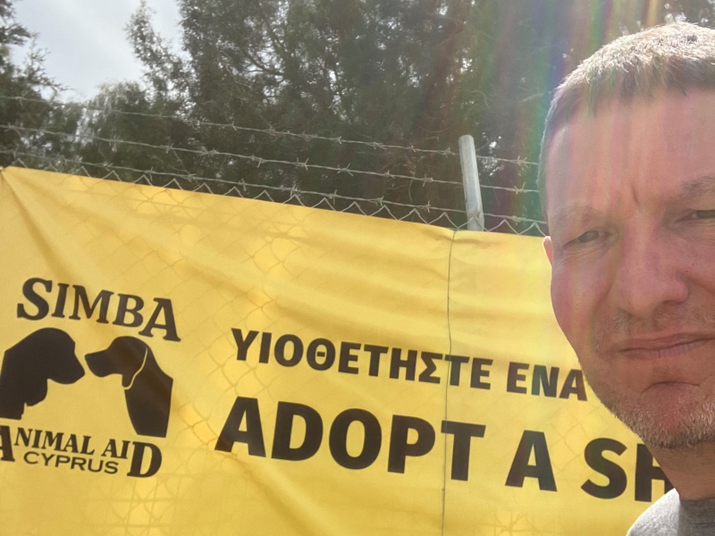 A Week in Cyprus: Lending a Hand (and a Lead!) to Local Rescue Dogs