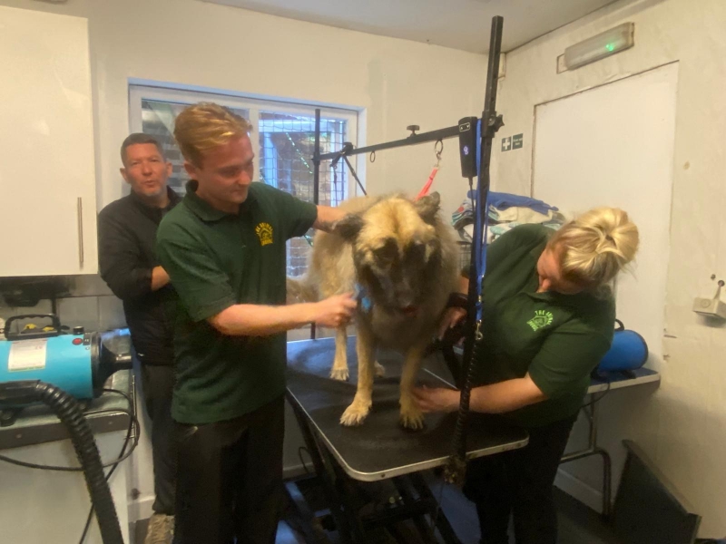 Charity Dog Grooming Day Raises £150 for The Animal House Rescue